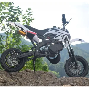 2 Stroke 49CC Pull Start Engine Mini Dirt Bikes