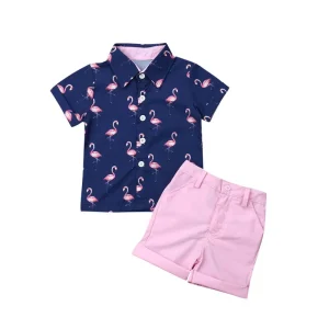 Lioraitiin Toddler Baby Boy Flamingo Short Sleeve Shirt+Shorts
